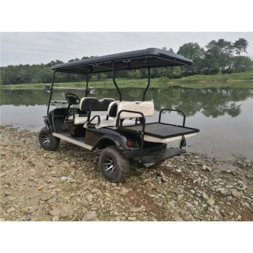 6 seater gas powered golf cart for sale