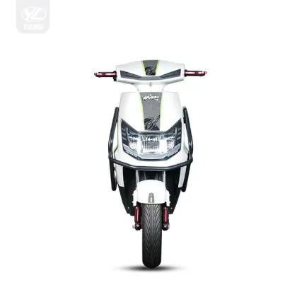 Lightning Fast Electric Motorcycle Conquering Roads With Ease