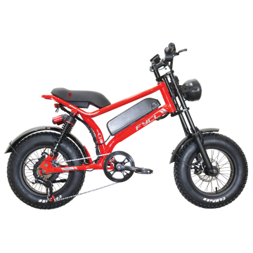 Vendita calda: 20 \ "x 4.0 Bike elettrico per pneumatici grassi con motore da 500 W, batteria da 48 V, marcia a 7 marce Shimano e telaio in acciaio - Include freni idraulici