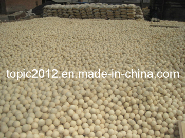 High Temperature High Strength Refractory Ball for Metallurgy