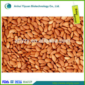 Bitter Apricot Kernel /Bitter Apricot Seed/Chinese Raw bitter Almond