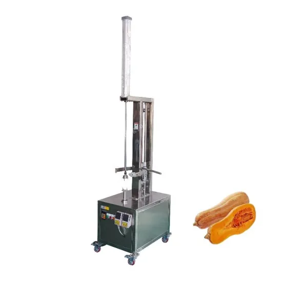 Pumpkin and Mango Processing Machine: Single Head Peeler and Skin Remover