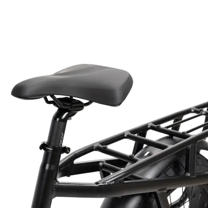 Mario Ebike 250w Fat Tire Electric Cargo Family City Road Bike