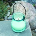 Gardon glazen pot bug haat citronella geurkaars