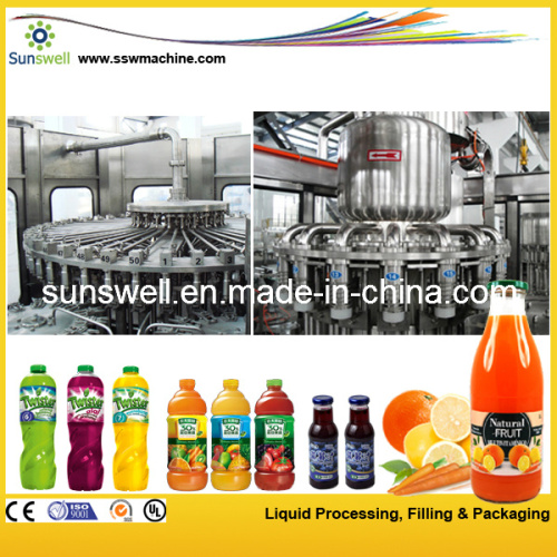 Automatic Plastic/Pet Bottle Energy Drinks/Red Bull/ Vitamin Drinks Making Machie Plant