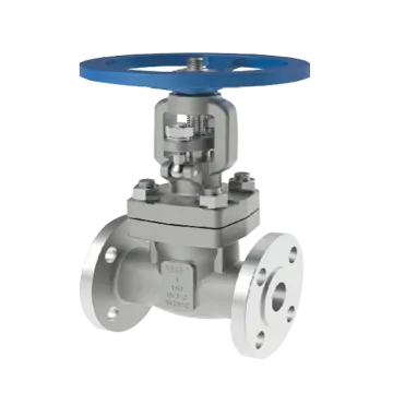 titanium forged DN25 DN50 Globe valve