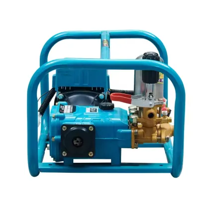 48V-72V Agricultural Pesticide Sprayer Pump