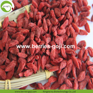 Buah Kilang Buah-buahan kering yang kering Goji Berry