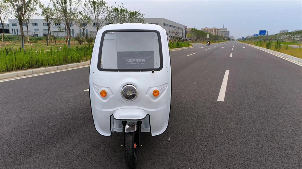 Electric tricycle for daily loads