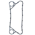 Polaris Phe Gasket S43을 교체하십시오