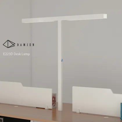 Minimalist Style Twin Lights Desk Lamp for Office Lighting E233D