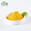 Folic Acid Vitamin B9 Folate