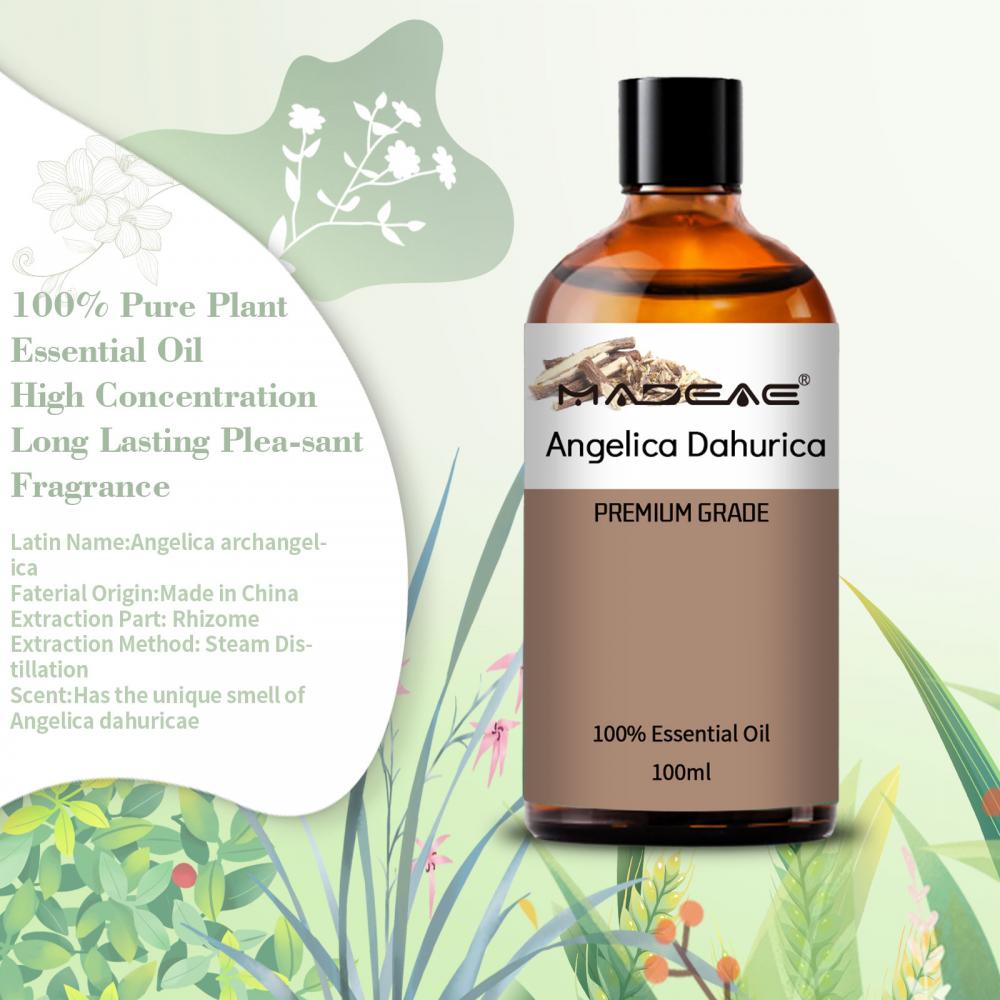 Pure Natural Angelica Dahurica Root Extract Oil for Massage