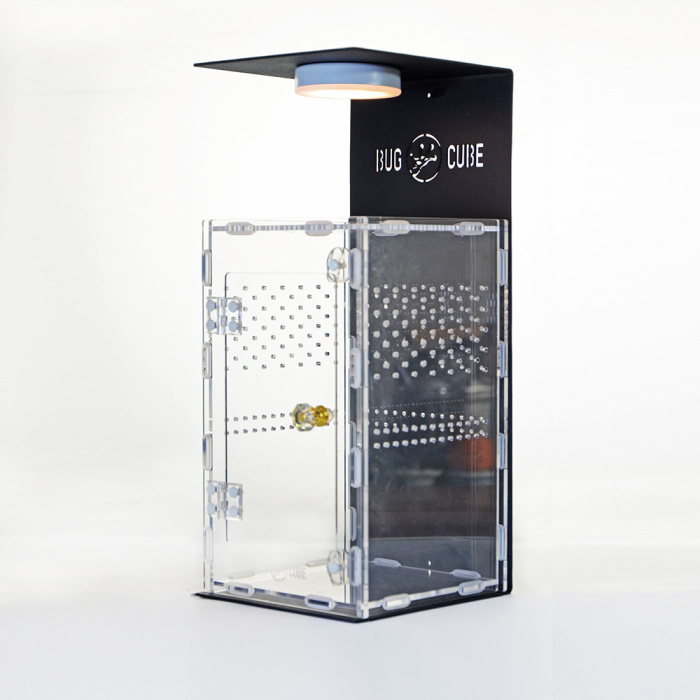 Tamanho personalizado Caixa de criação de acrílico extra espessa