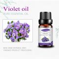 Best price Violet essential oil for aroma diffuser