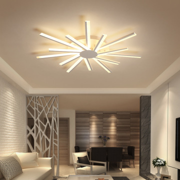 LEDER Interior Flush Ceiling Lighting