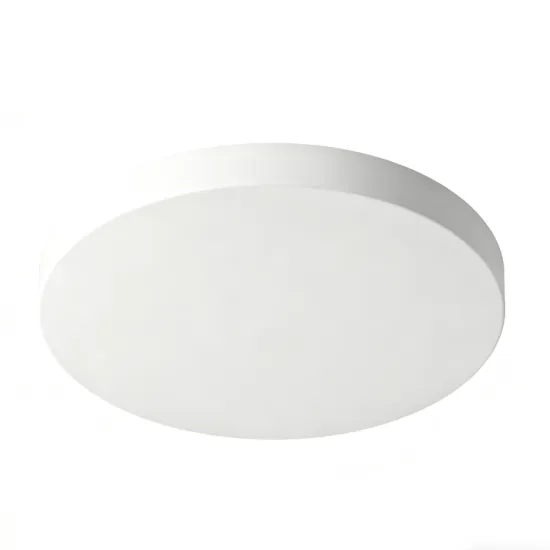 Modern LED Ceiling Light for Home Decor