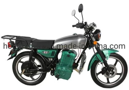 Adult Gas Motorcycles and Moto Scooters