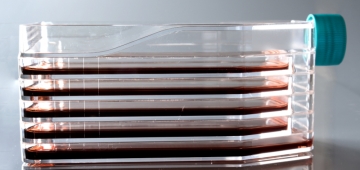 Multi-layer 5-layer Cell Culture Flask