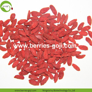 Produk Buah Buah Kilang Wolfberry Bulk