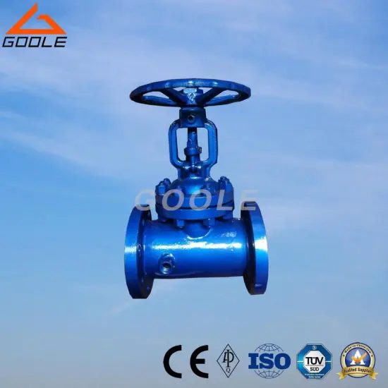 Steam Jacke Gate Valve (GABZ41H)