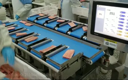 Fruits And Vegetables Weighing And Packaging Machine