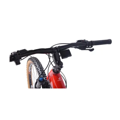 Factory Price Mid Hub Motor with Shimano Oil Brake and Torque Sensor for Mountain Cycling