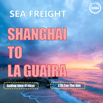 Ocean Freight da Shanghai a La Guaira Venezuela