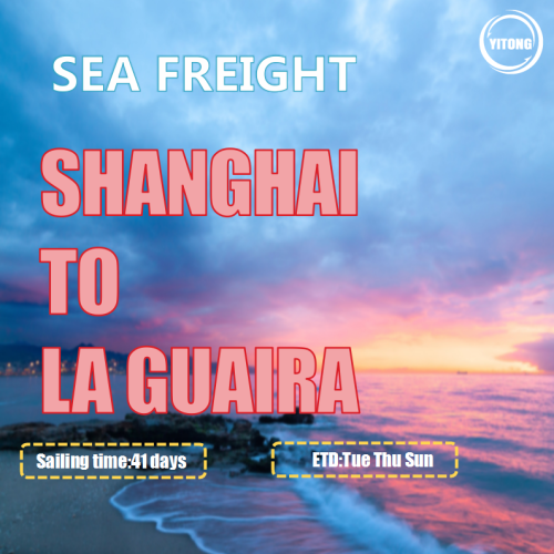 Freight Ocean desde Shanghai a La Guaira Venezuela