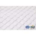 6ft 55x555 mm Cascing a mesh diamante galvanizzato a caldo
