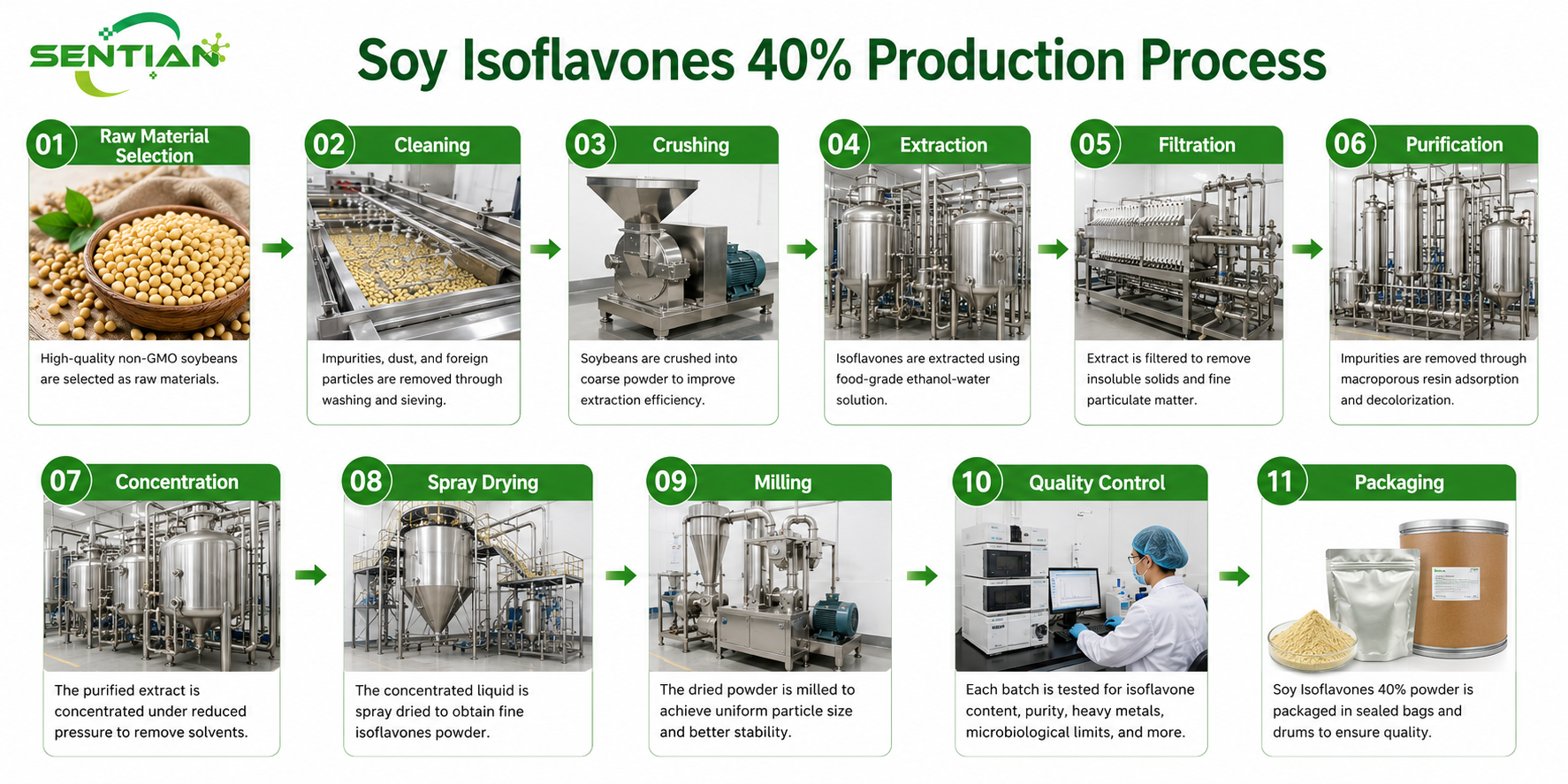 Soy Isoflavones 40%1