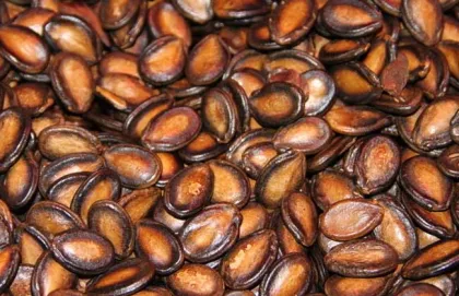 Chinese Watermelon Seeds Food