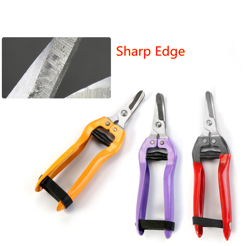 Professional Garden Tool Stainless Steel Bypass Garden Pruning Shears Hand hiseed Pruners Garden Clippers Cutting Scissors