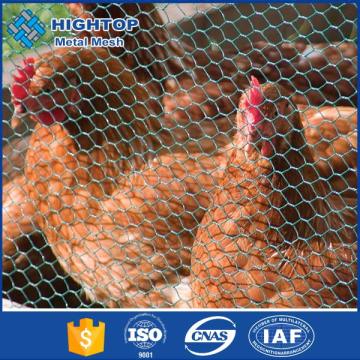 Chicken coop hexagonal wire mesh fence