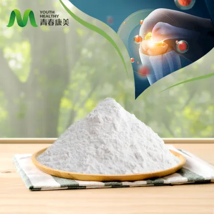 Pure Chondroitin Sulfate Powder for Medical Use