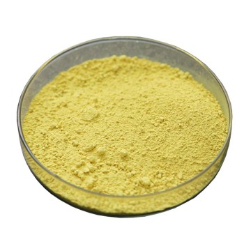 Scutellaria Baicalensis Root Extract Baicalin 85% powder