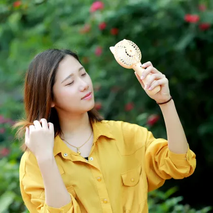 Portable USB Base Battery Mini Handheld Fox Fan