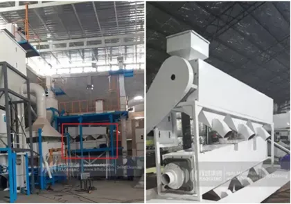 Black Bean Polishing Machine