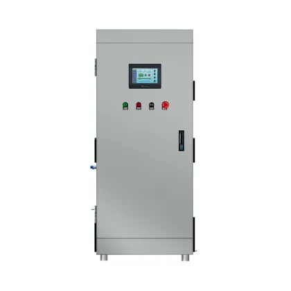 Professional 100g PLC Ozone Generator for Textile Washing and Bleaching