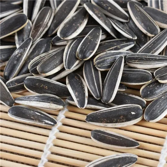 Bulk price different roasted green tea taste salted sunflower seed