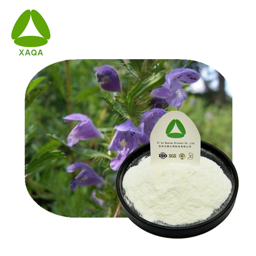 Dracocephalum Moldavica extracto Tilianin Powder 4291-60-5