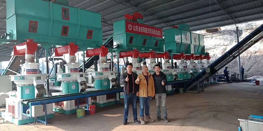 10tph biomass pellet production line