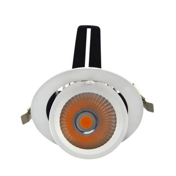 Ronse Noordse LED -plafondlichten