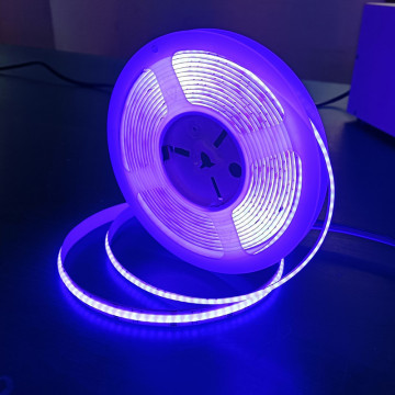 RGBCW LED Strip DC24V - 5in 1 RGB+CCT+COB+RGBIC TV Backlight Decorative Lighting