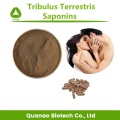 Tribulus Terrestris εκχύλισμα Saponins 90% σκόνη τριαμπούλης