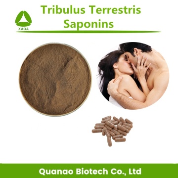 Tribulus Terrestris استخراج Saponins 90٪ مسحوق القيب القبيلة