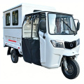 سه چرخه باری سنگین WJ300ZH-W1 250-300cc