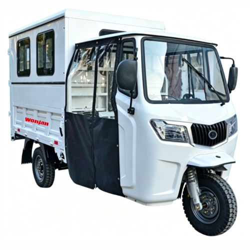 سه چرخه باری سنگین WJ300ZH-W1 250-300cc