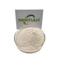 Microbial Rennet for cheese kluyveramises chymosin Rennet