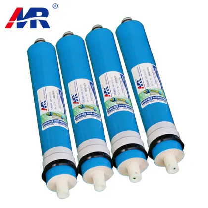 Hot housing reverse osmosis membranes